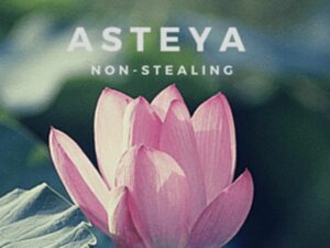 Non-stealing Spiritual Person